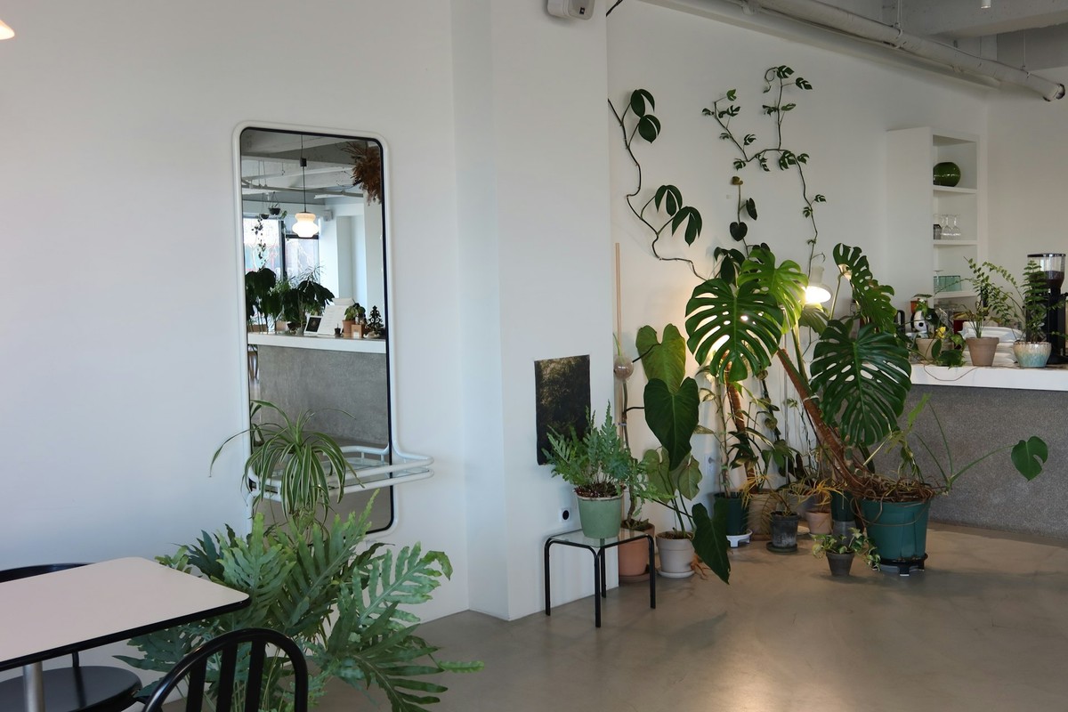 plantfoodrocks Design Team