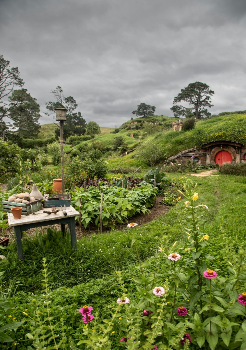 Edible Landscape Designs